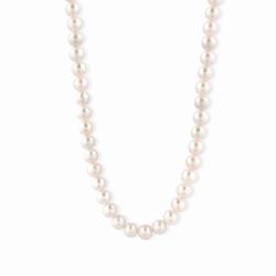 Lillian Vassago Zlatý náhrdelník s říčními perlami LLV40-GN002