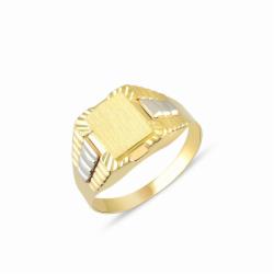 Lillian Vassago Zlatý prsten LLV55-GR005C